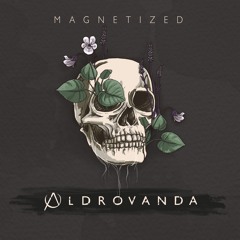 Magnetized