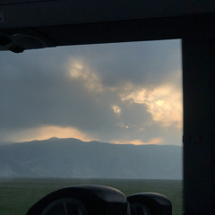 Summer Rain