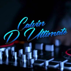 Vicadi Singh Ft Lumidee - NEVER GONNA LEAVE YOU (Calvin D'Ultimate Intro Blend Refix)