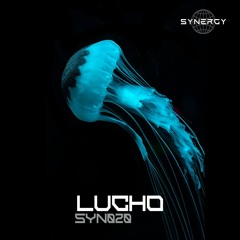 SYNERGY 20 / LUCHO (AR)