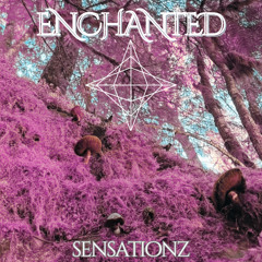 Enchanted Mix : Live 11/02/24