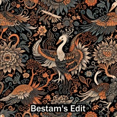 Bestam's Edit | Emrah Balkan - Male Words (Whale Room - Turna Vocal)