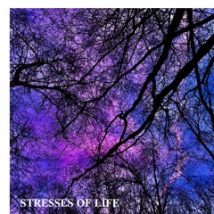 Stresses of life