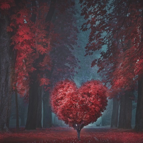 Chia Tay Vì Quá Hiểu Remix