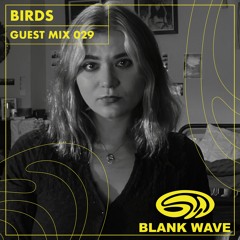 Blank Wave Guest Mix 029: Birds