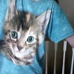 скинь котиков (hardstyle remix by ccrymun)