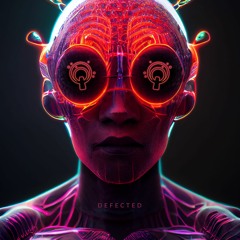 Flavi Predu - Defected