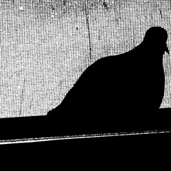 YOUREYESINMINE - ANTICIPATORY GRIEF (LURID EDIT) (CLIP)