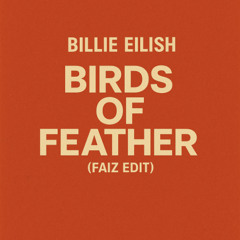 BIRDS OF FEATHER (Faiz Edit) *prev download for full