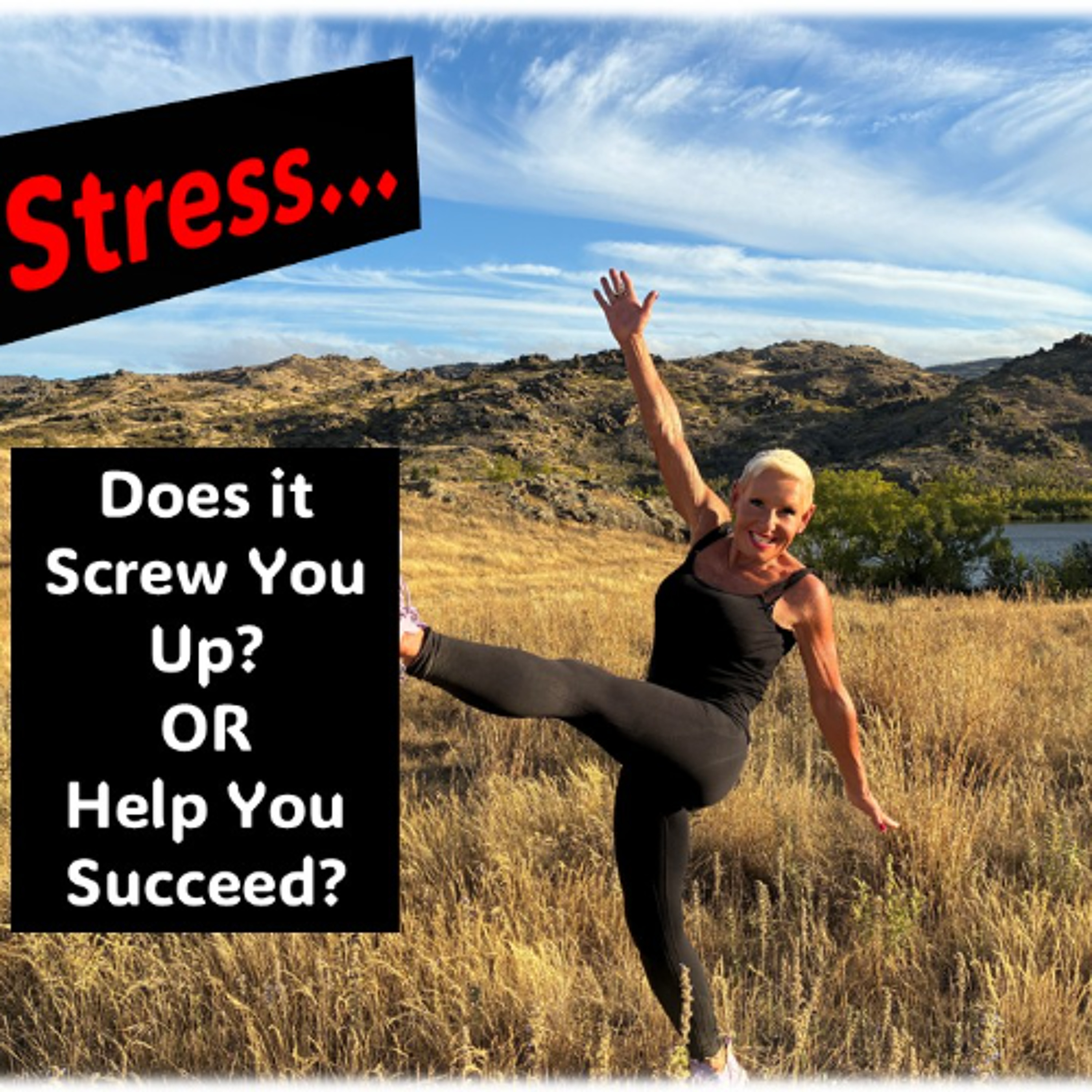 Stress…Does it Screw You UP or Help You Succeed Stress…Does it Screw You UP or Help You Succeed