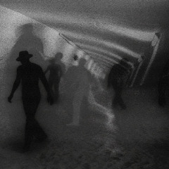 Тени в тумане