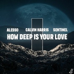 Hans Zimmer x Alesso x Calvin Harris - Interstellar x How Deep Is Your Love (Wellkrow Edit)