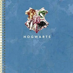Get EPUB 💘 Harry Potter 2020 Weekly/Monthly Planner by  Trends Intl Corp [EPUB KINDL