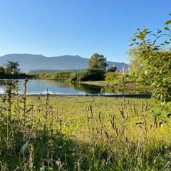 45 minutes at the Kitsilano Pond - June 30 2025 (binaural)