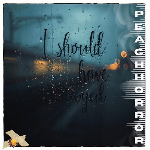 I should have stayed