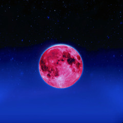 moonlight
