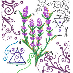 Musical Fluid - Lavanda