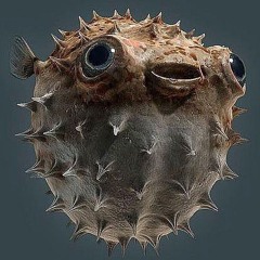 (DEMO) Balyq-INKVR AFM feat NURS