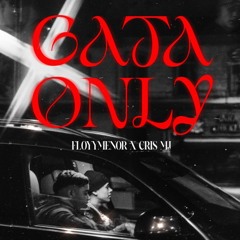 Gata Only [TVN Remix]