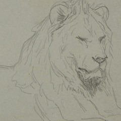 Rosa Bonheur, "Study of a Lion's Head"
