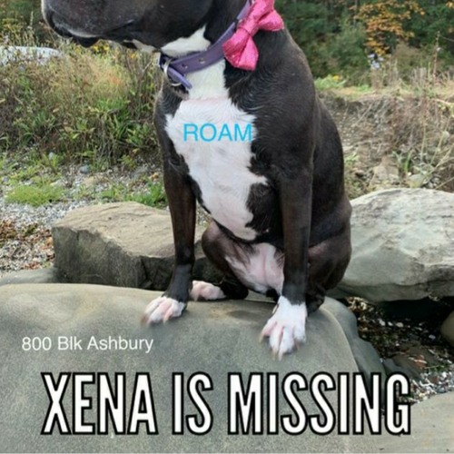 Stream Smells like dog poop by young bruh Listen online for free on