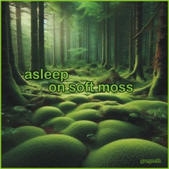 asleep on soft moss