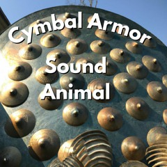 Cymbal Armor