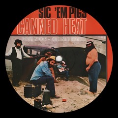 Canned Heat - Poor Moon (Bernar Remix)