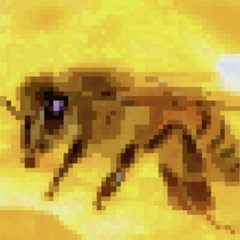 Bee With Me (demo)