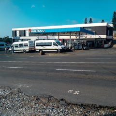 Sensational Thoughts