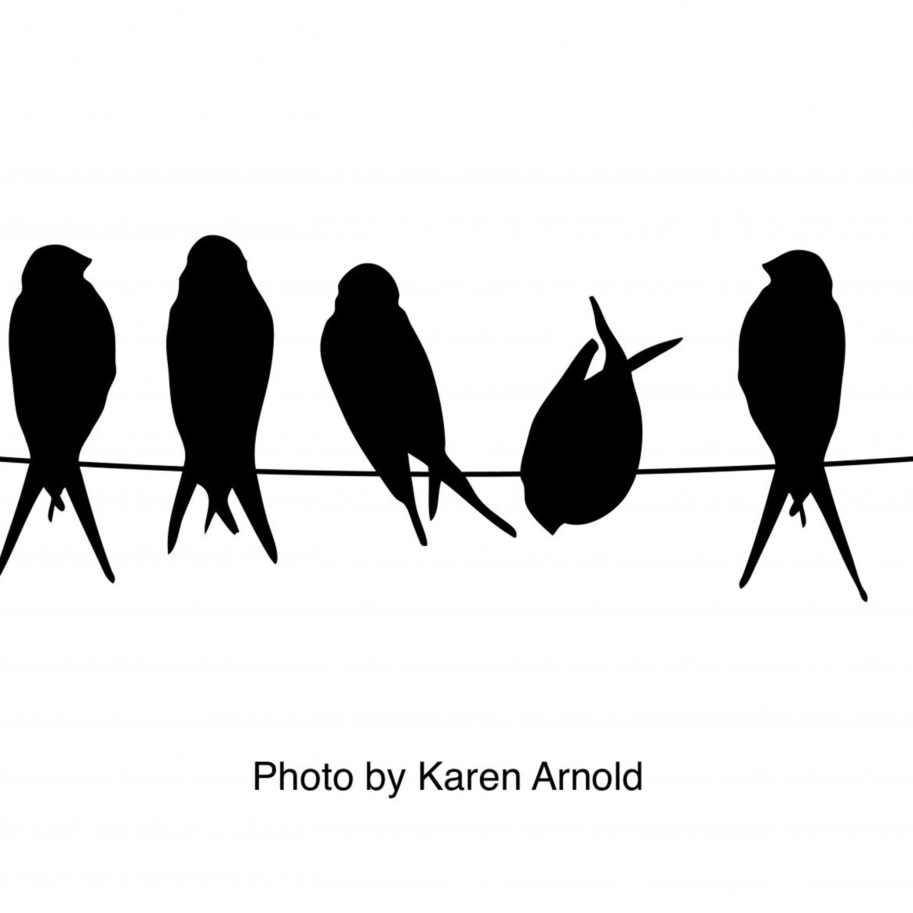 HOMESPUN,  Stories & Poetry