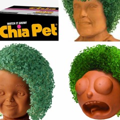 CHIA PET ft. kabi, onetoke