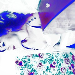 Mockingbirds Just Fly