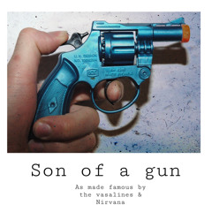 son of a gun (The vaselines/Nirvana cover)