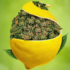 Lemon Kissed Haze (Instrumental) prod. DJS & ARTHOOLIGANS