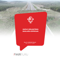 Doğayı birleştiren ekolojik köprüler