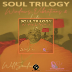 WillSouliii - Good Vibrations