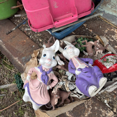 Neighborhood stories