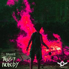 DJ SNAKE - TRUST NOBODY (GhostDragon Remix)