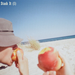 Stash It (1) Series - Stash The Gun