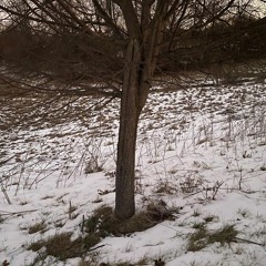 Frostflow