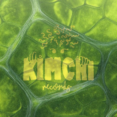 Back From Digging: Kimchi Records