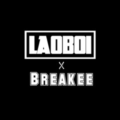 Taylor Dayne-Tell it to my Heart [LaoBoi & Breakee Remix]