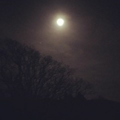 Tribal Society (BOSKYbeat)