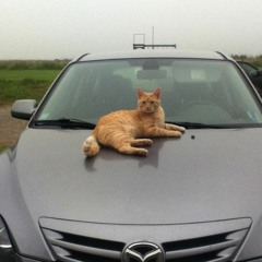 Cannock Chase [cover]