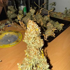 un blundtsito pa fuma ft/08joa/thedamnmassi/kissio/sos4
