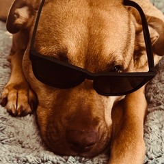 I've Had Enough, It's Time to FUNK