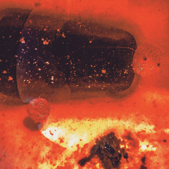 Honeymoon On The Moon