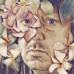 Dear Refeoh, Episode 77- Hoefer Raed