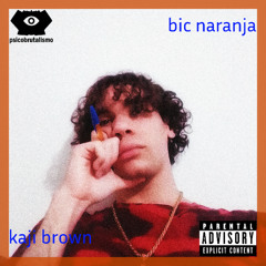 bic naranja (slwd + rvrb)